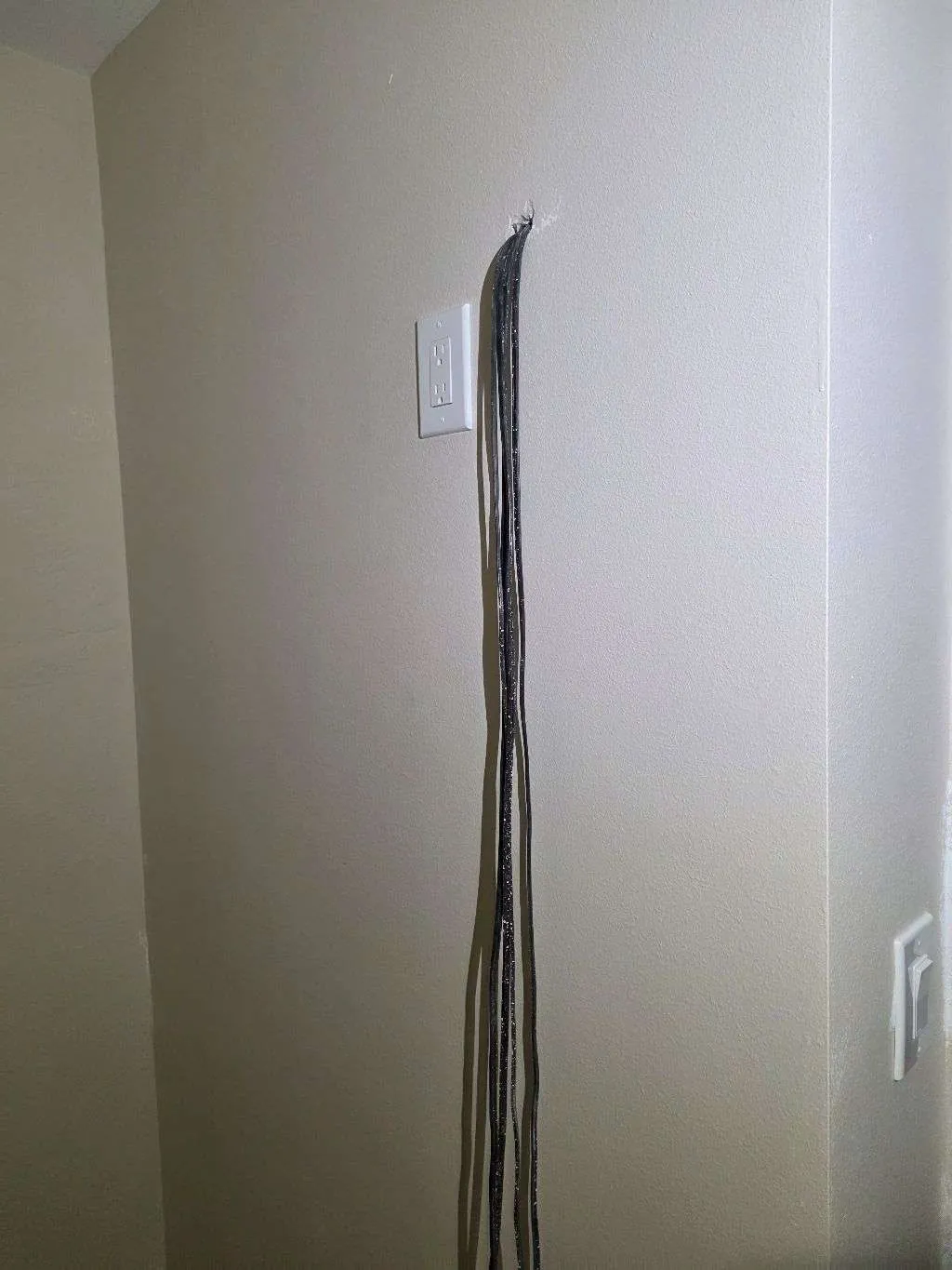 Bundle of new circuit cables dropped down an opened wall during a whole-house remodel in St. Petersburg, FL