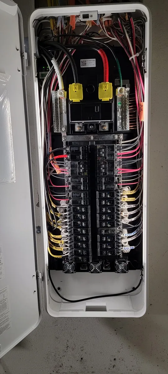 Inside a SPAN smart panel during installation: neatly routed and labeled circuit wiring, Tampa Bay area